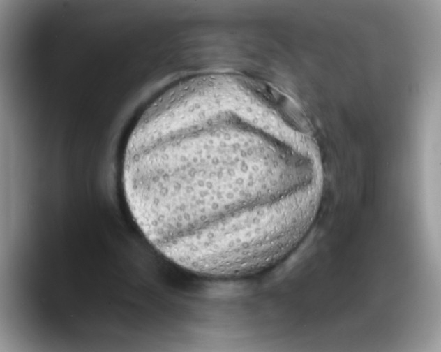 X0000089760342200707201947