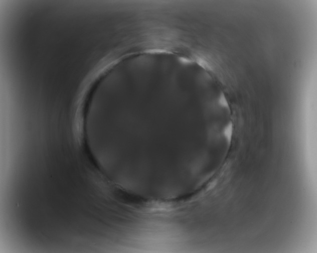 X0000089760343200707201947