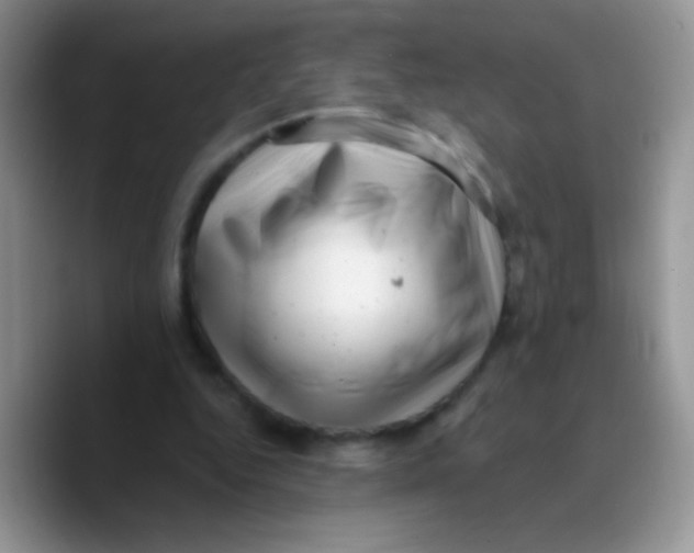 X0000089760344200707201947
