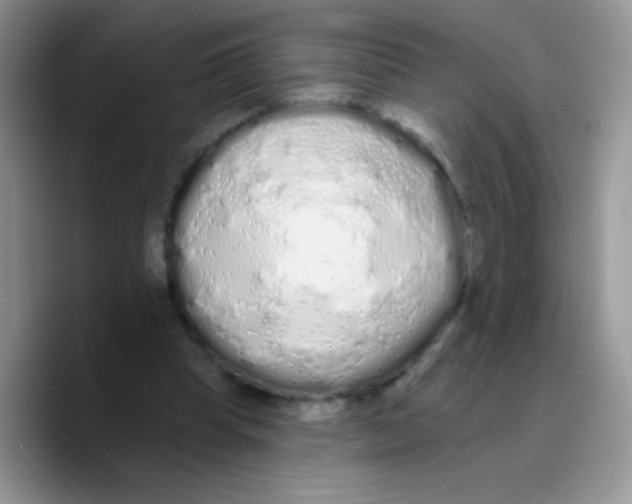 X0000089760345200707201947