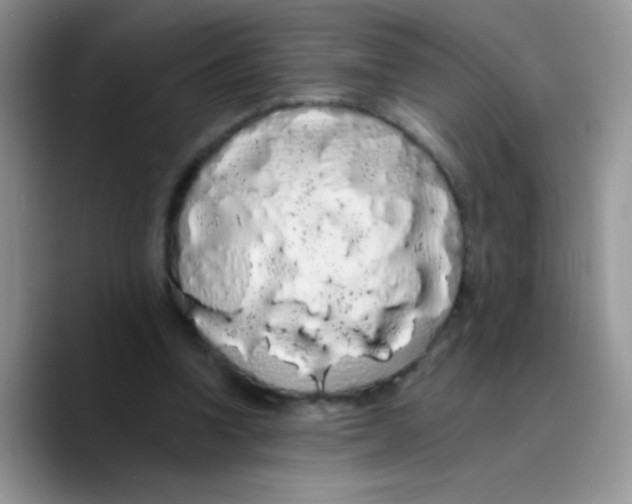 X0000089760346200707201947