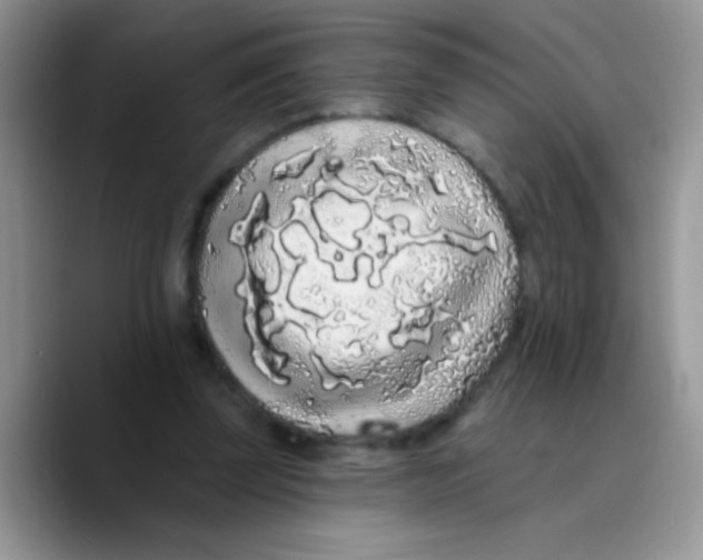 X0000089760347200707201947