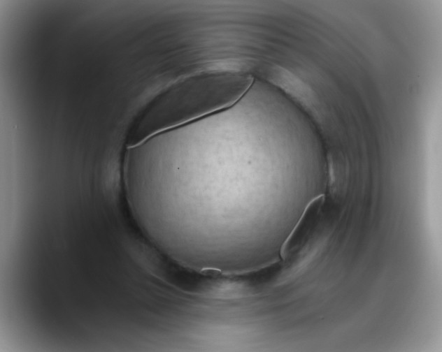 X0000089760348200707201947