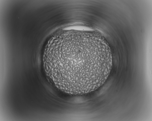 X0000089760350200707201947