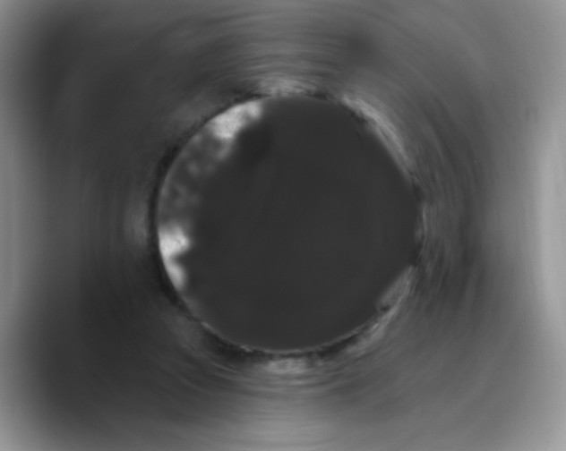 X0000089760353200707201947