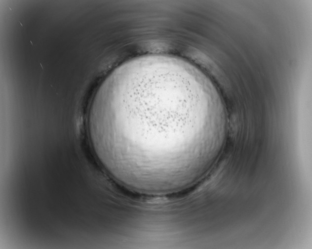 X0000089760355200707201947