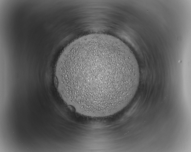 X0000089760356200707201947