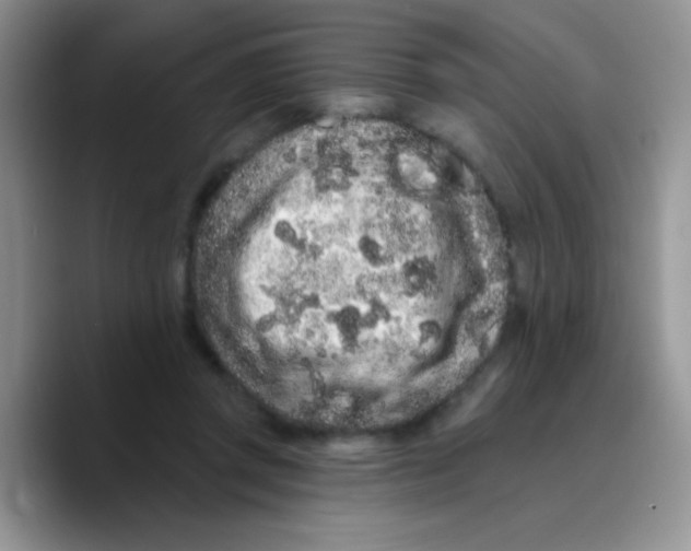 X0000089760357200707201947