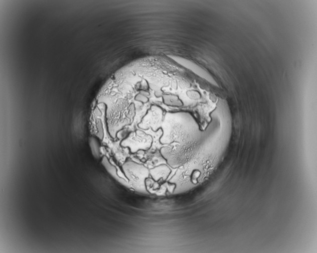 X0000089760359200707201947