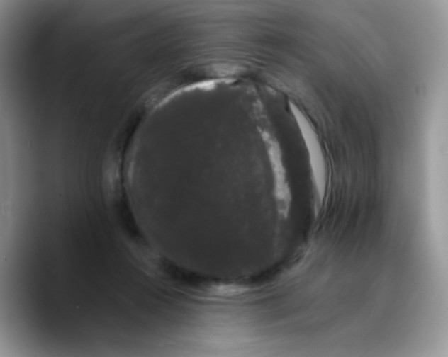 X0000089760360200707201947