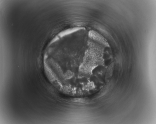 X0000089760361200707201947