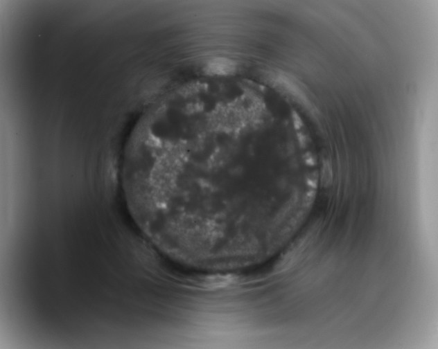 X0000089760363200707201947