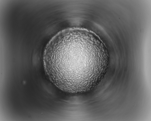X0000089760364200707201947