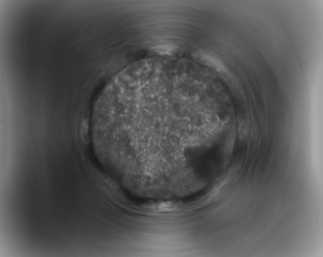 X0000089760365200707201947