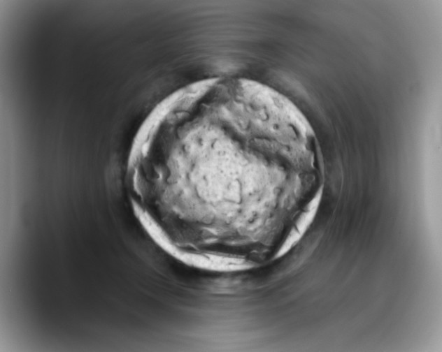 X0000089760366200707201947