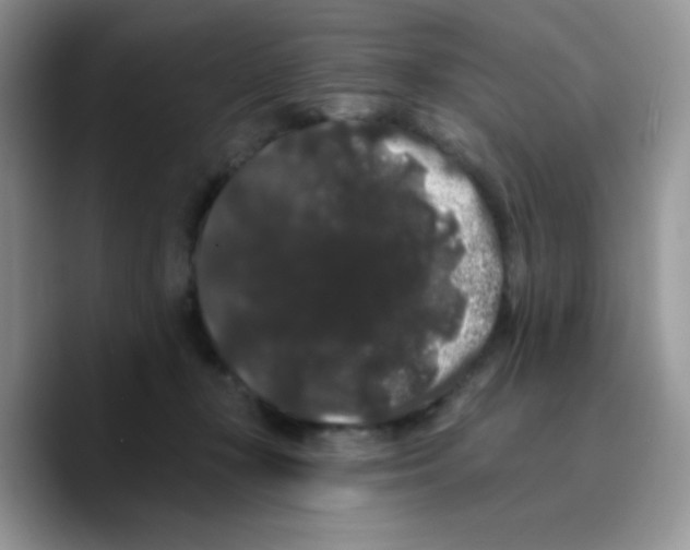 X0000089760367200707201947