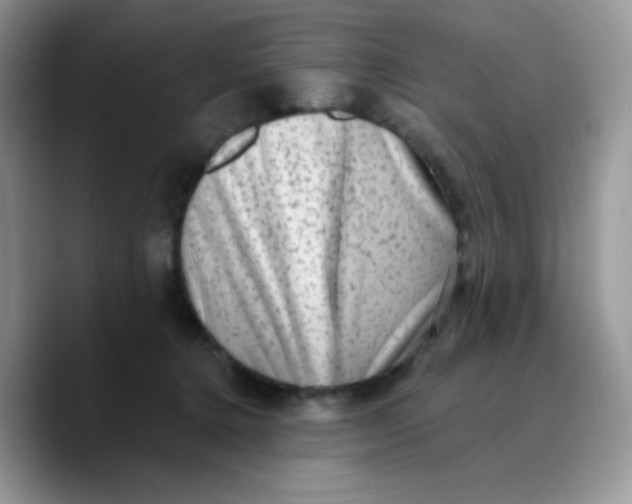 X0000089760368200707201947