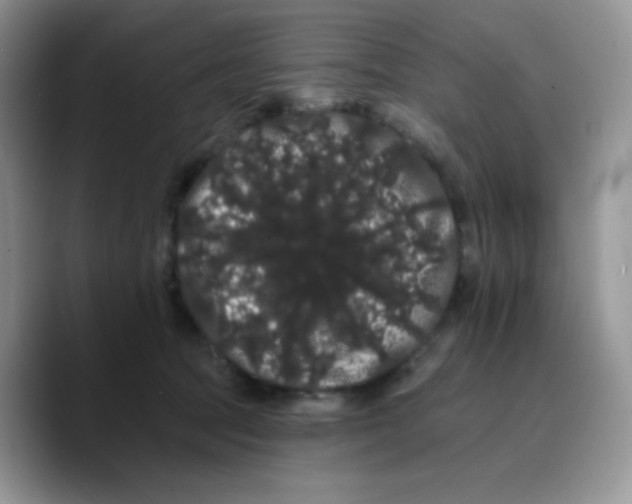 X0000089760369200707201947