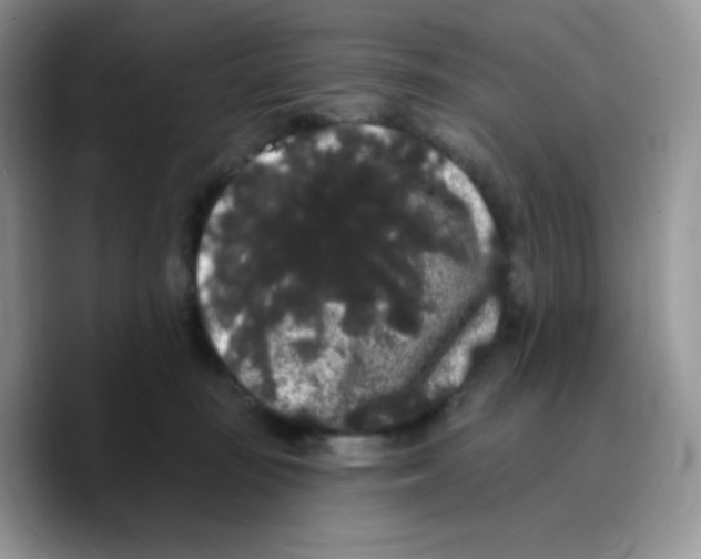 X0000089760371200707201947