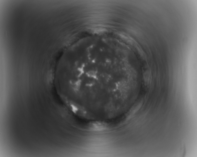 X0000089760372200707201947
