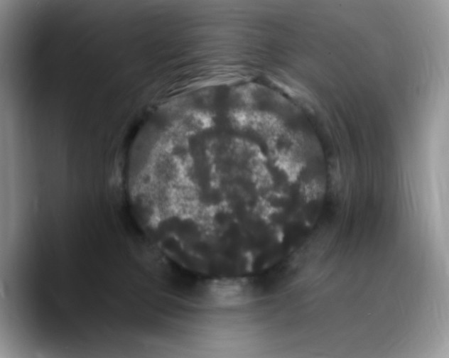 X0000089760373200707201947