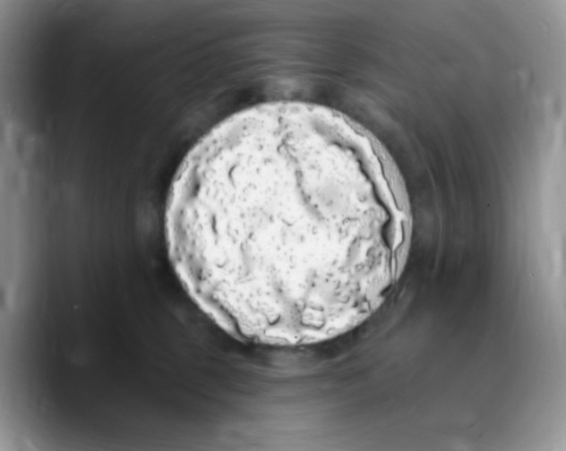 X0000089760375200707201947