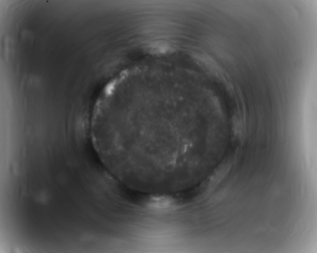 X0000089760376200707201947