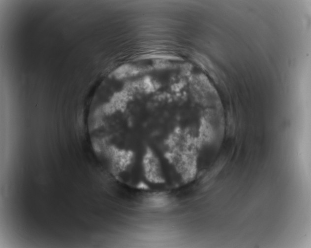 X0000089760377200707201947