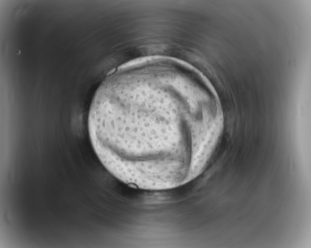 X0000089760378200707201947