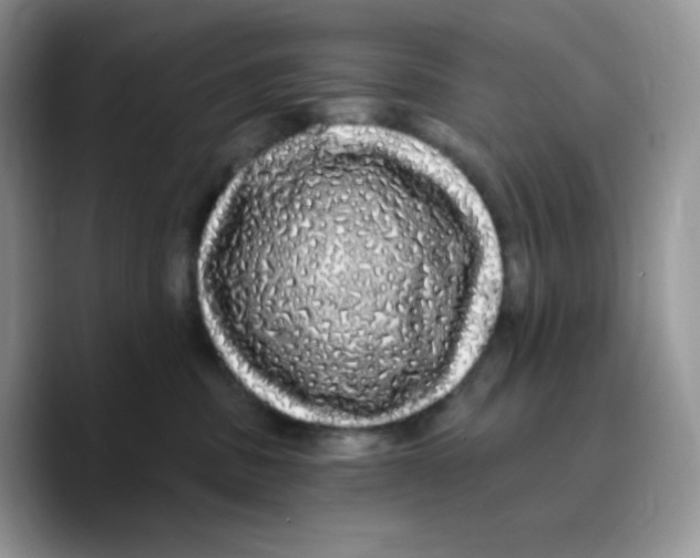 X0000089760379200707201947