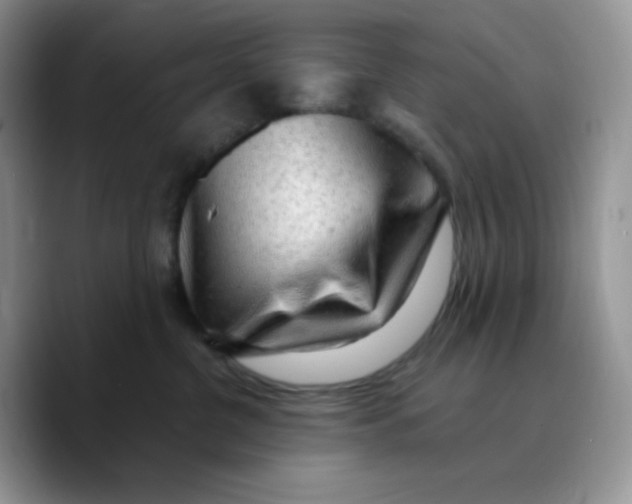 X0000089760380200707201947