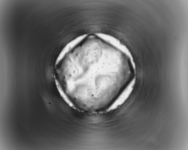 X0000089760383200707201947