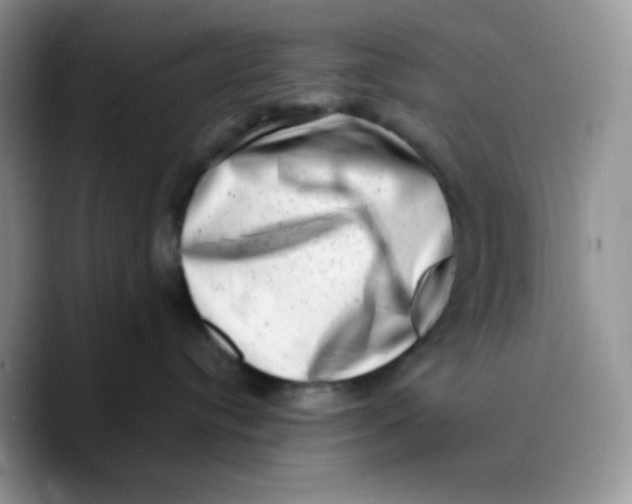 X0000089760384200707201947