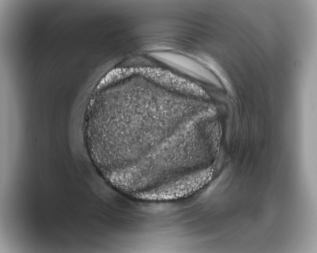 X0000089760385200707201947