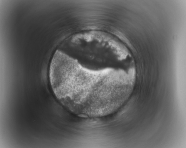 X0000089760386200707201947