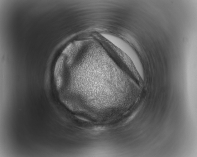 X0000089760388200707201947