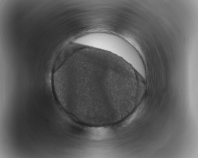 X0000089760389200707201946