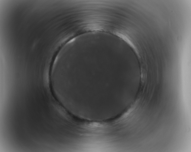 X0000089760390200707201946