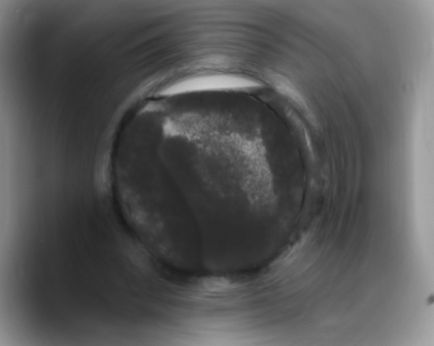X0000089760392200707201946