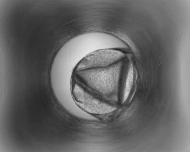 X0000089760393200707201946