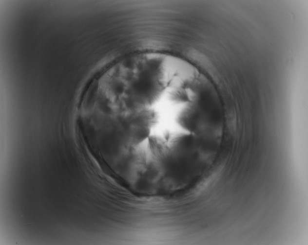 X0000089760395200707201946