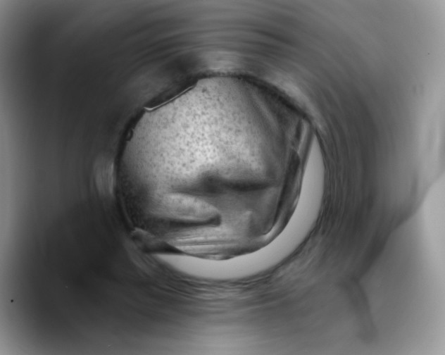X0000089760397200707201946