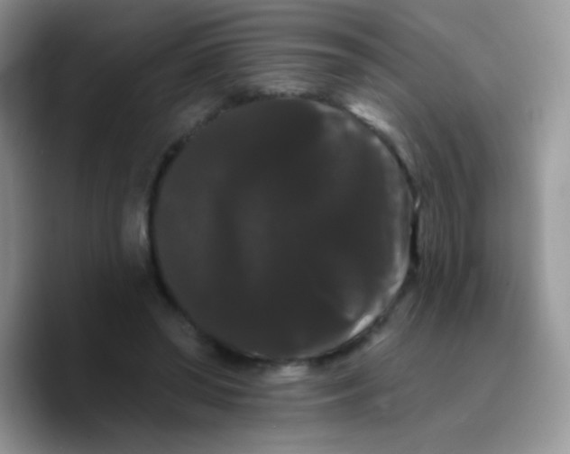X0000089760398200707201946