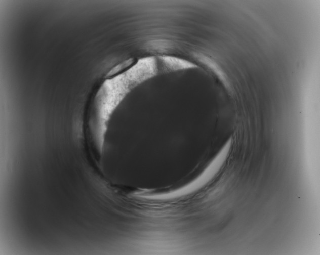 X0000089760399200707201946
