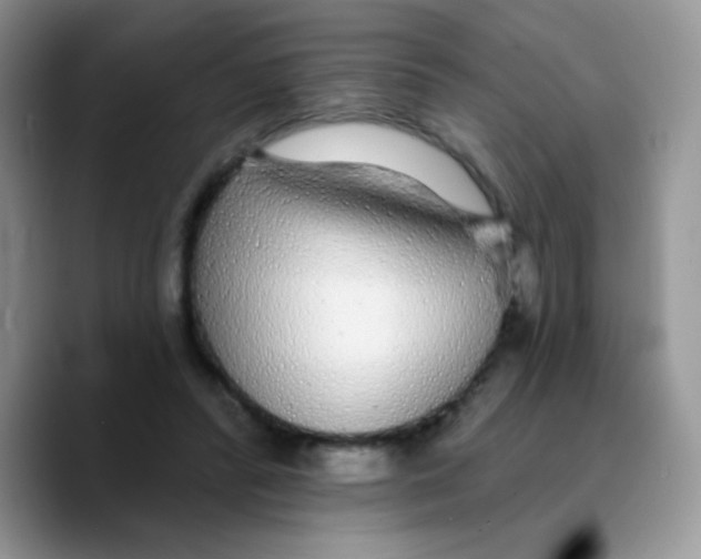 X0000089760400200707201946