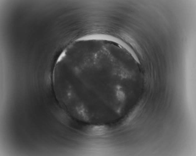 X0000089760401200707201946