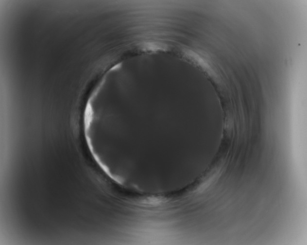 X0000089760402200707201946
