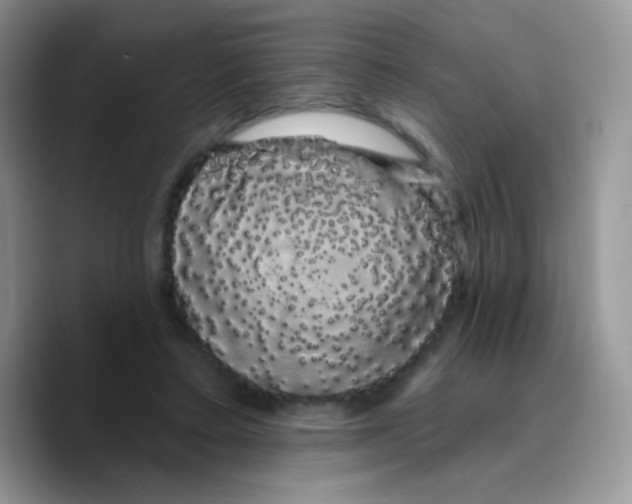 X0000089760403200707201946