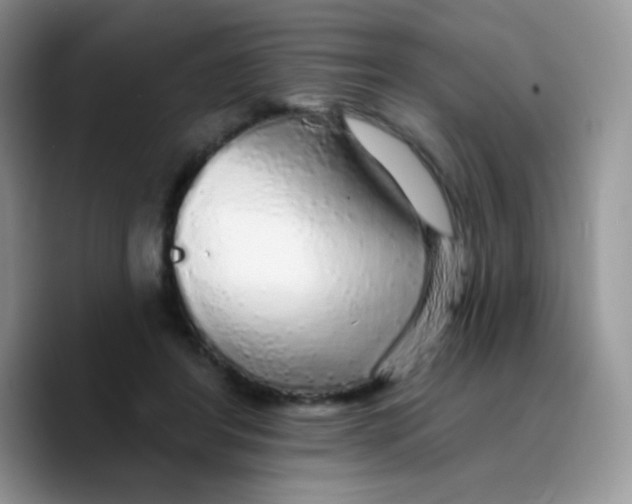 X0000089760404200707201946