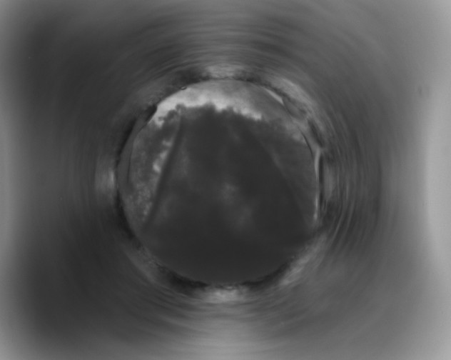 X0000089760405200707201946